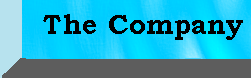 The Company