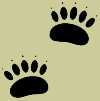 Bear Den 9 bear mascot picture